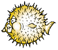 OpenBSD